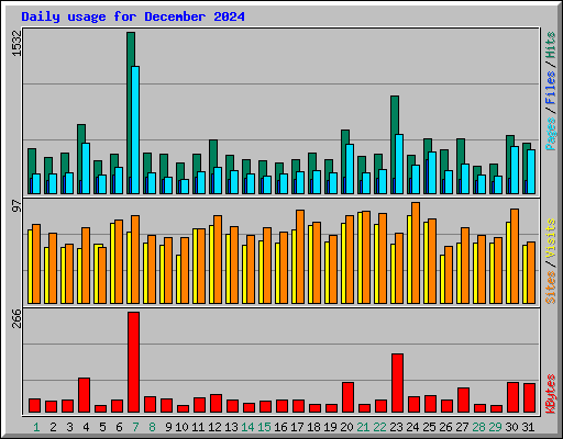 Daily usage for December 2024