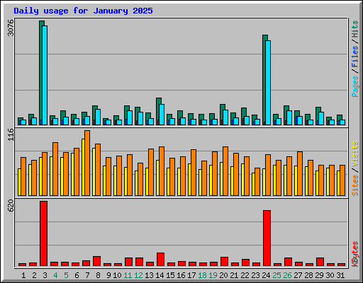 Daily usage for January 2025