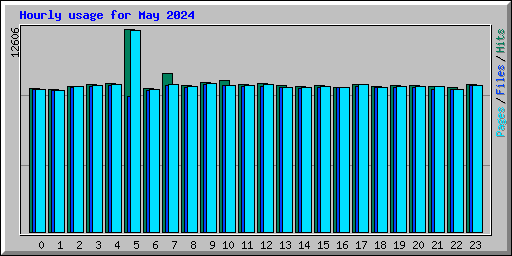 Hourly usage for May 2024