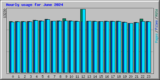 Hourly usage for June 2024