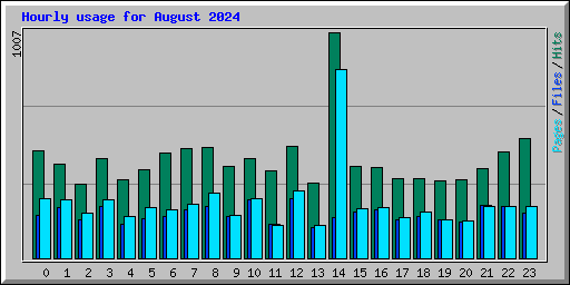 Hourly usage for August 2024