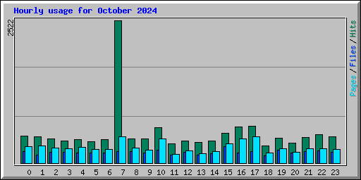 Hourly usage for October 2024