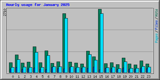 Hourly usage for January 2025