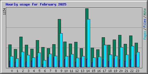 Hourly usage for February 2025