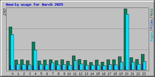 Hourly usage for March 2025