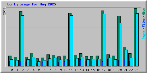 Hourly usage for May 2025