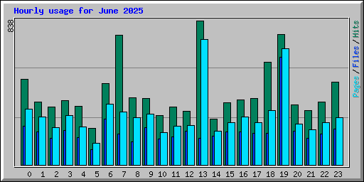 Hourly usage for June 2025